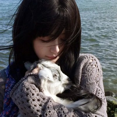 尼姆计划