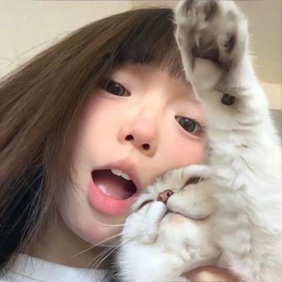 金羚羊