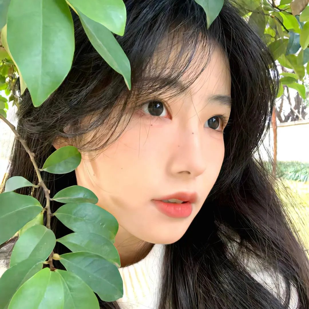 万物生灵第三季